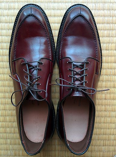 売場Allen Edmonds アレンエドモンズ Brentwood 32809 5 靴